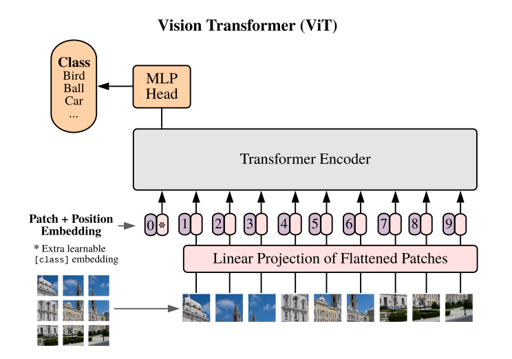vision transformer (ViT) architecture